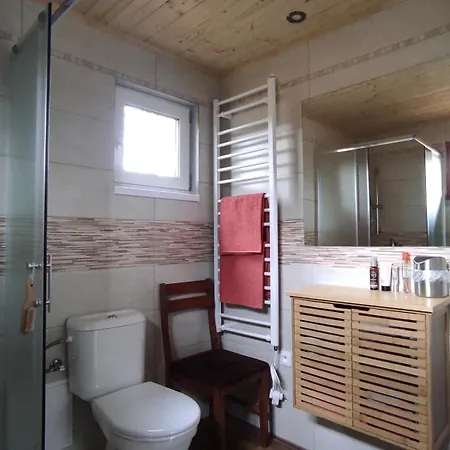 U Rybnika Brodsky 山林小屋 *