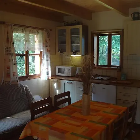 Domek letniskowy U Rybnika Brodsky *