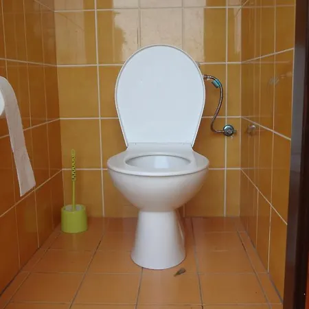 Domek letniskowy U Rybnika Brodsky *