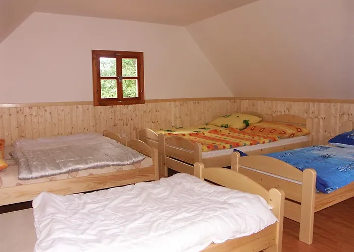 U Rybnika Brodsky Lodge
